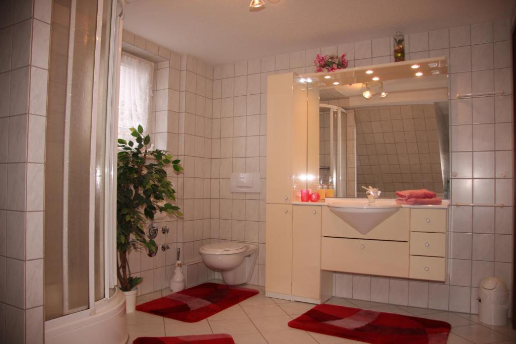 アルテンアウにあるHarz-Sonneのバスルーム(洗面台、トイレ、鏡付)