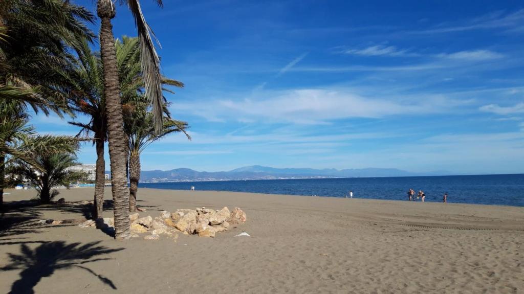 una spiaggia con palme e l'oceano di Las Plumas Beach a Torremolinos