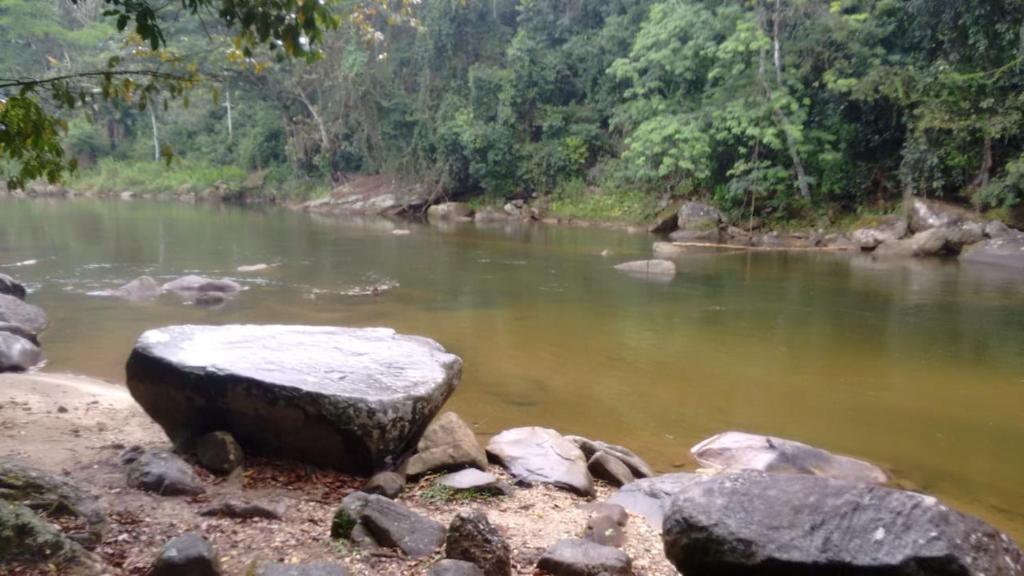  Recanto da natureza
