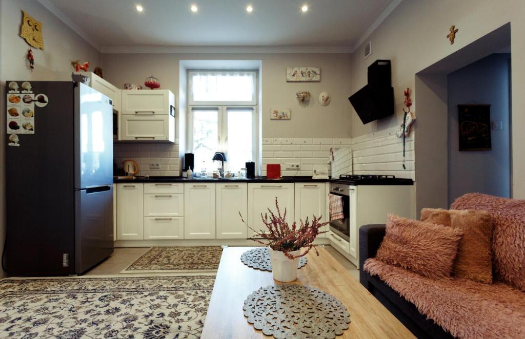 Kuchyňa alebo kuchynka v ubytovaní Apartment Cracow