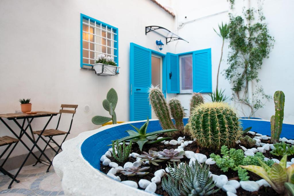 un jardín con cactus y plantas frente a una casa en Light Blue - Apartment in the middle of everything, en Torre Annunziata