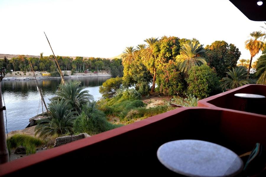 a view of a river with palm trees and a boat at El Prince Guesthouse in Aswan