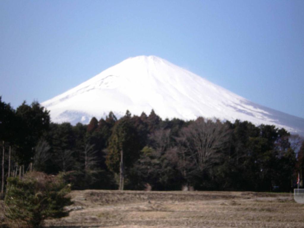 南海薬草館 御殿場市 Booking Com