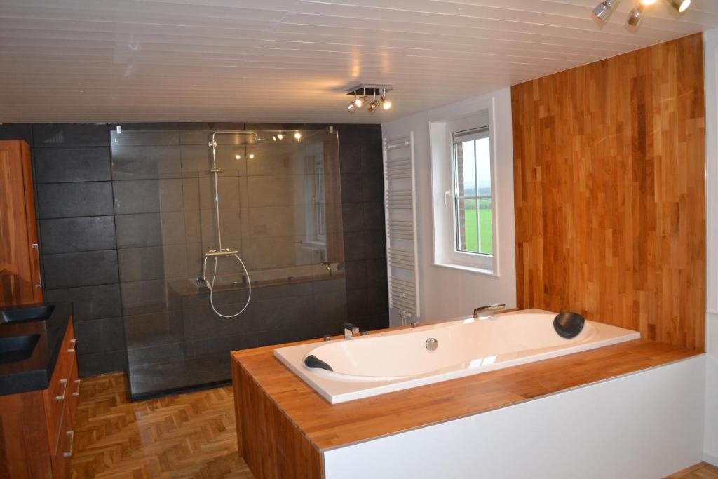 a large bathroom with a tub and a shower at Vue d'en Haut in Durbuy