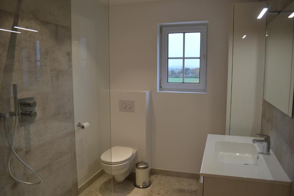 a bathroom with a toilet and a sink and a shower at Vue d'en Haut in Durbuy