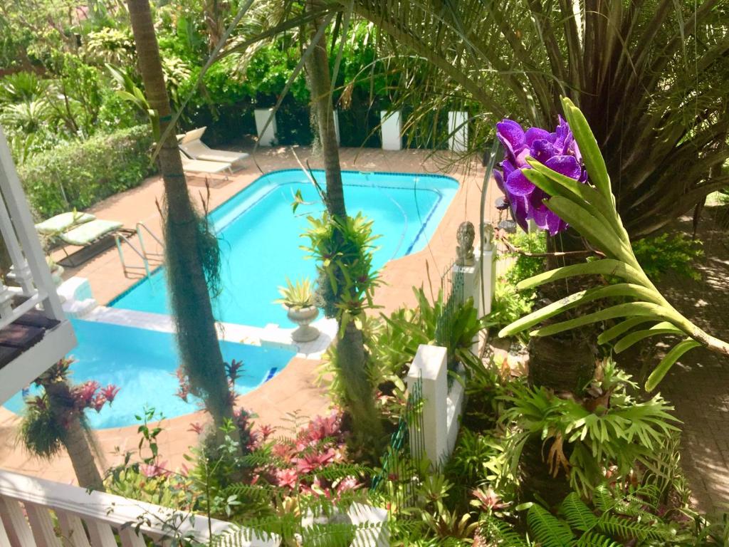 una piscina en un jardín con flores y plantas en St. Lucia Wetlands Guest House, en St Lucia