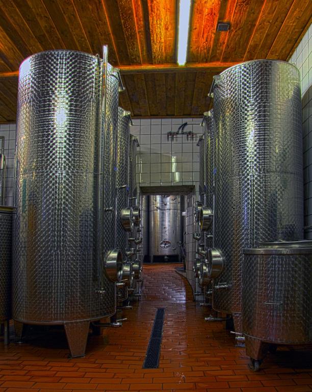Fotografia z galérie ubytovania Ferienwohnung am Weingut Eisenbock v destinácii Strass
