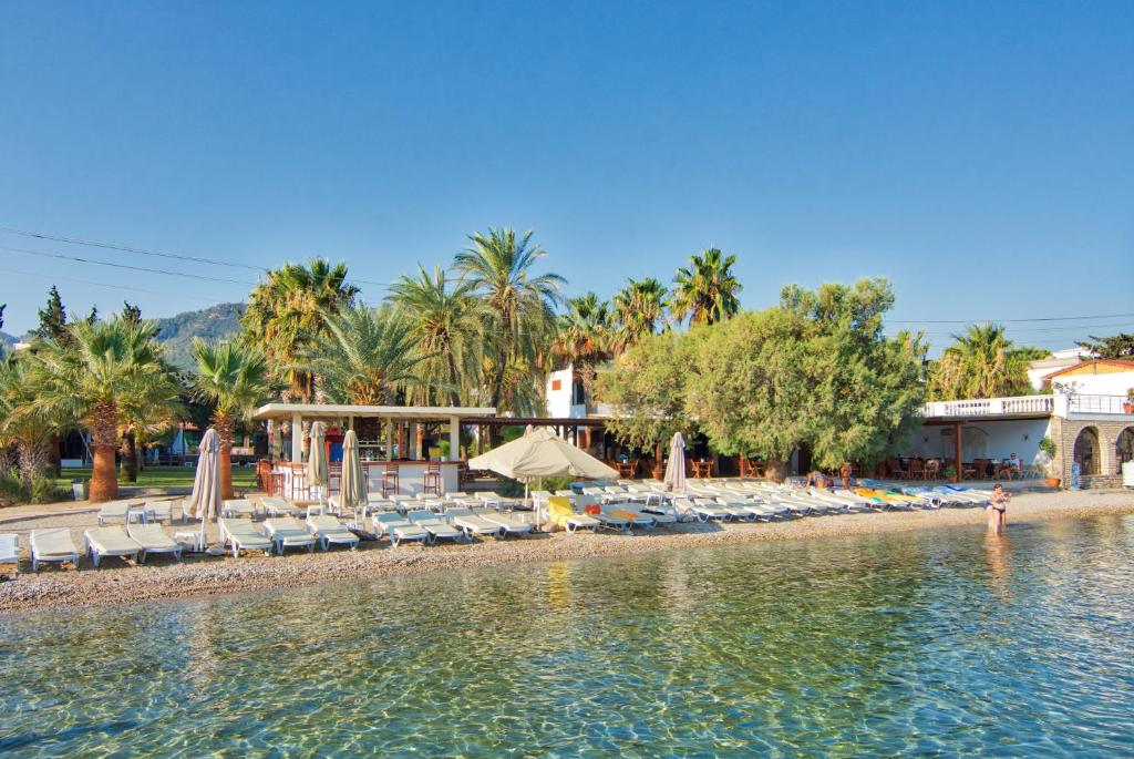 a resort with a beach with chairs and a pool at Selvi Beach Hotel in Golturkbuku