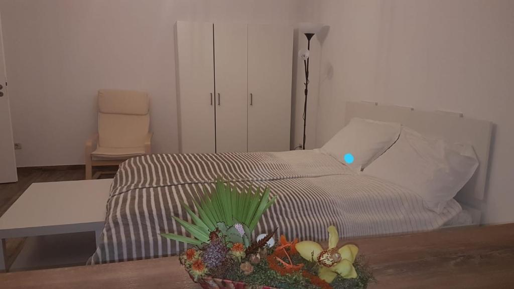 BSV Accomodation - Housity