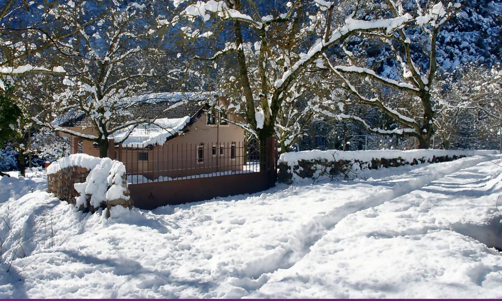 a snow covered yard with a cabin in the background at Chalet Coquelicot (Co-cli-co) relax in nature in Kalavrita