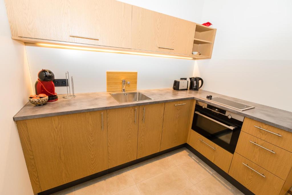 Kuchyň nebo kuchyňský kout v ubytování Hrimland Apartments