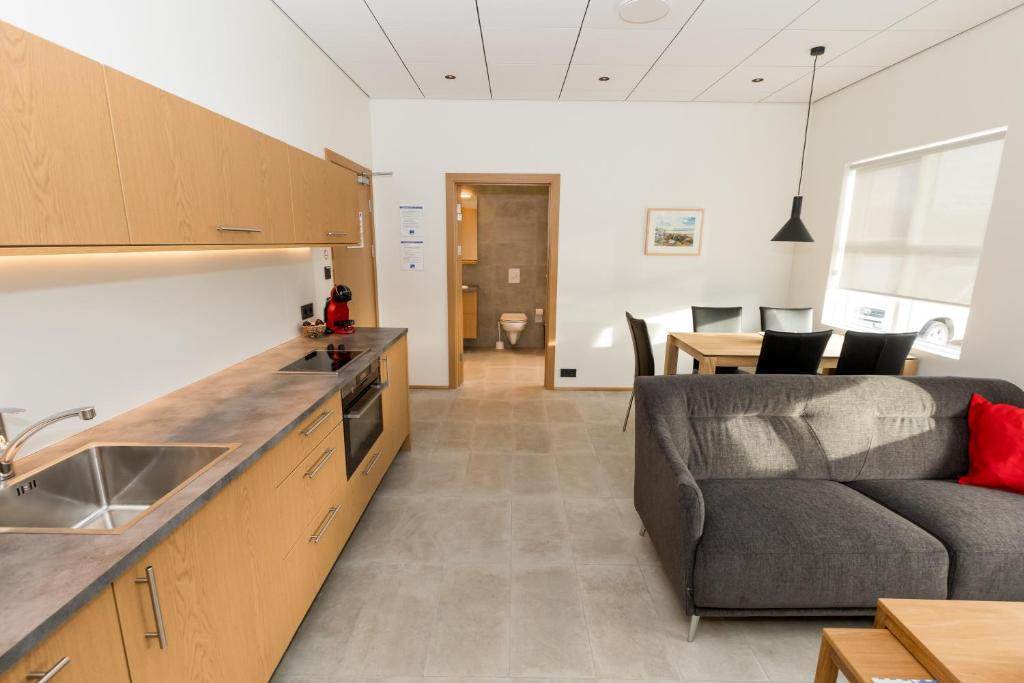 Kuchyň nebo kuchyňský kout v ubytování Hrimland Apartments
