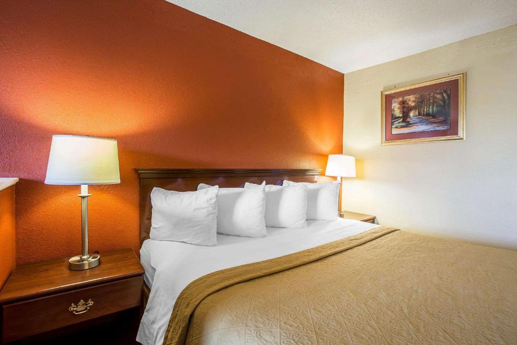 Quality Inn Gaffney I-85 - King Room - Non Fumatori