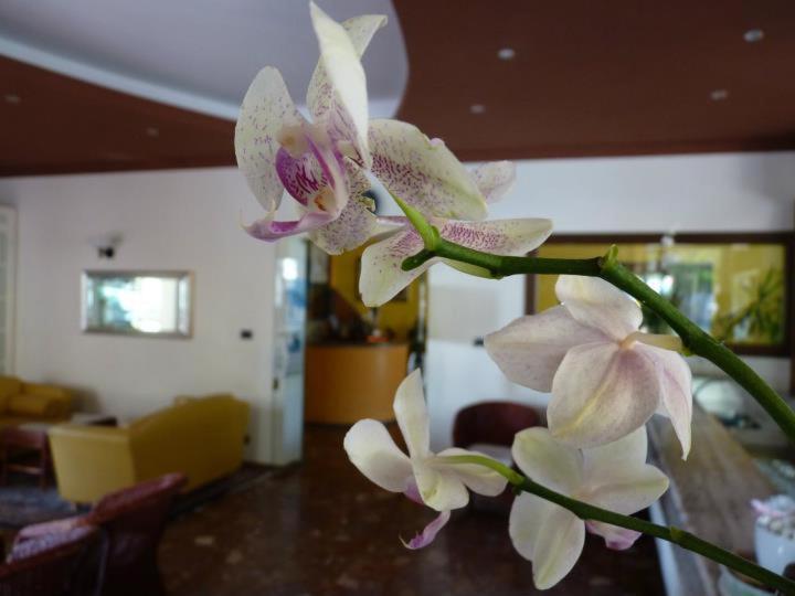 Posezení v ubytování Hotel Gambrinus