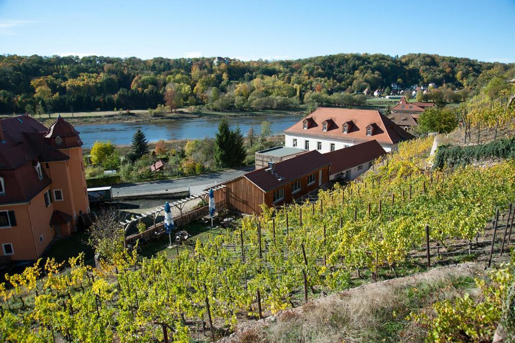 Un tren que viaja por vías junto a un río en Weingut Martin Schwarz, en Meißen