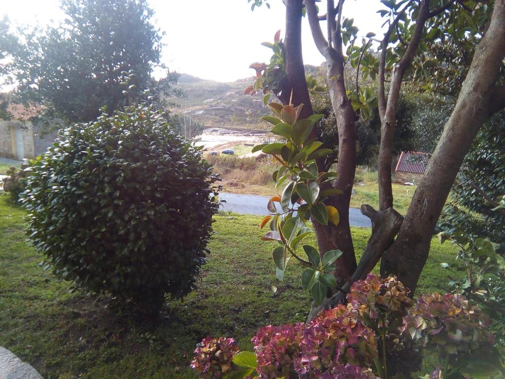Táj Show holiday homes közelében