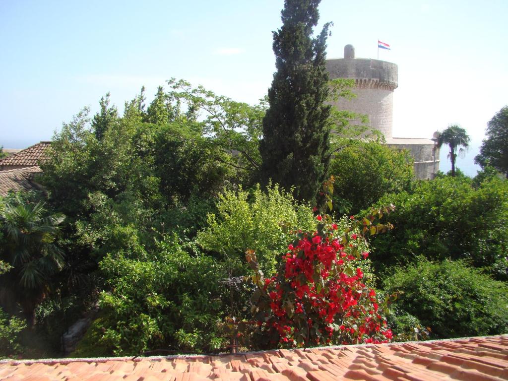 Turtle Apartments - 12