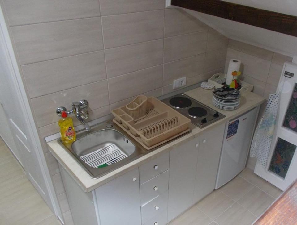 Kuchyň nebo kuchyňský kout v ubytování Apartman Vrdničak