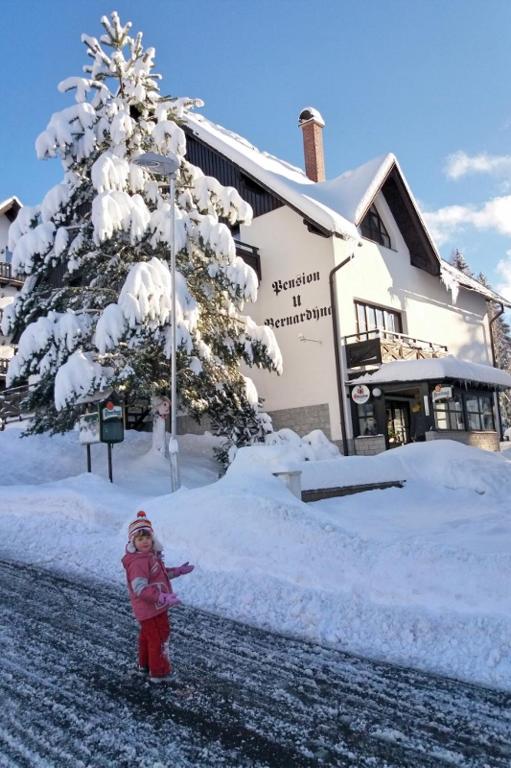 a child standing in the snow in front of a building at U Bernardýna in Harrachov