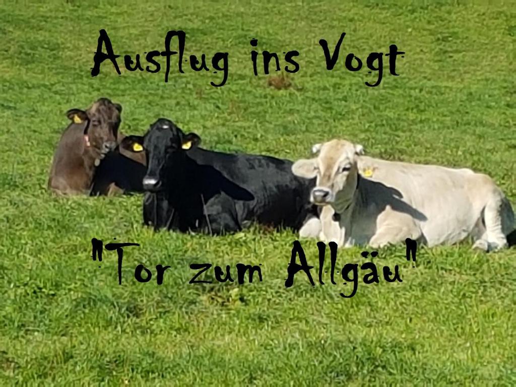 Zvířata v hotelu nebo okolí