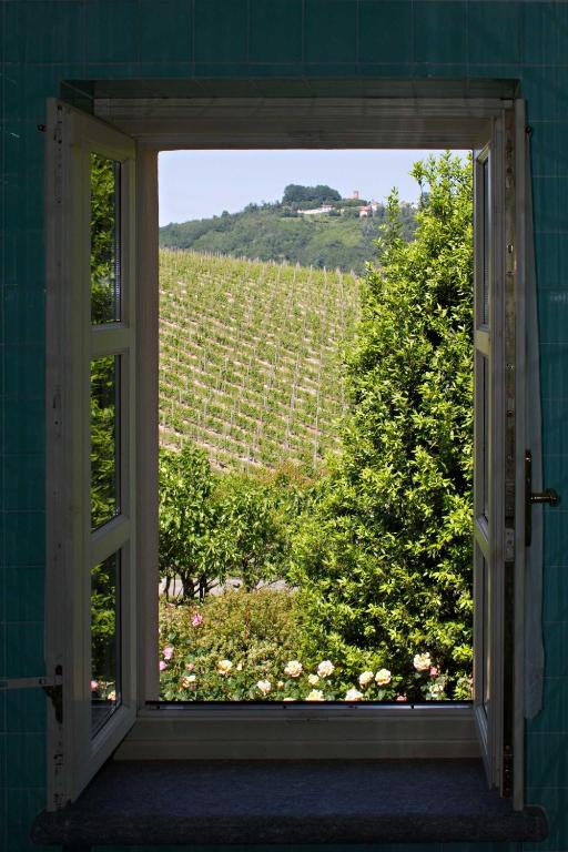 La Giribaldina Winery & Farmhouse - Chambre Double Supérieure