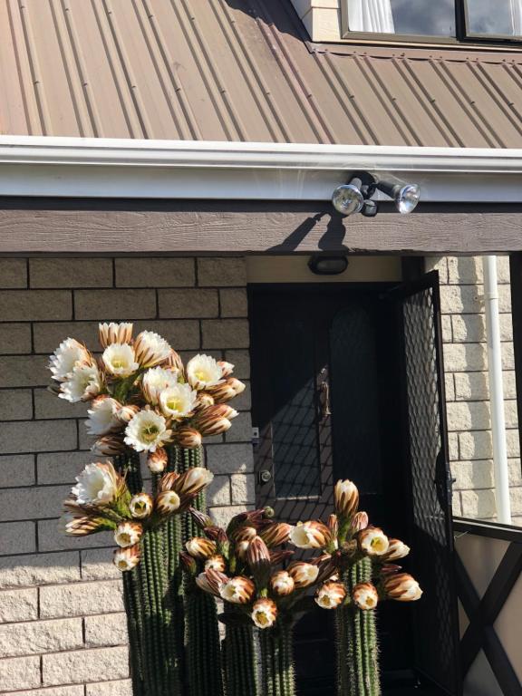 West Lake one bedroom accommodation - Resim 15