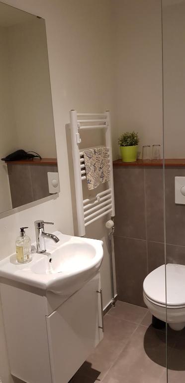 Koupelna v ubytování Apotek Guesthouse