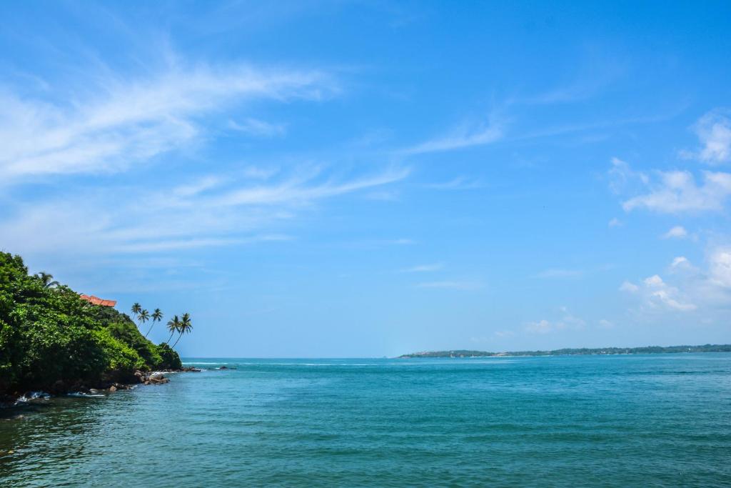 a view of the ocean with palm trees on the shore at Goyambokka Guesthouse in Tangalle