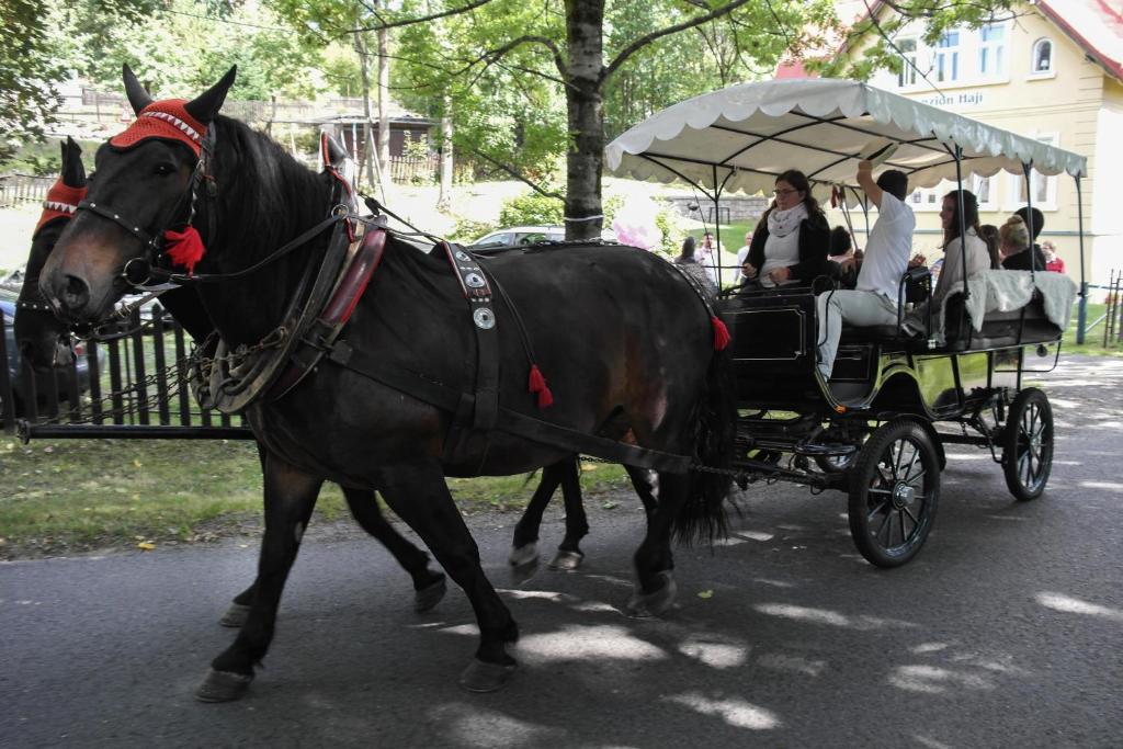 Hosté ubytování Penzion Hají