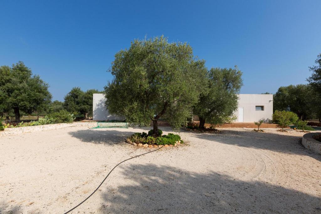 Ogród w obiekcie Villa Carlita by Perle di Puglia