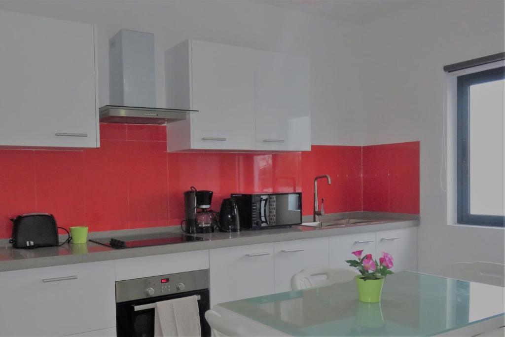 Kuchyň nebo kuchyňský kout v ubytování Ibiz Tourist Residence 2