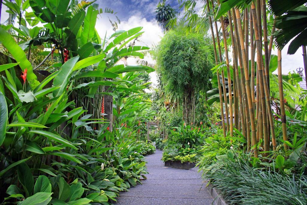 Zahrada ubytování KajaNe Mua at Ubud Bali
