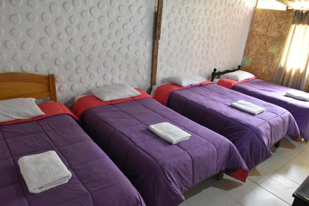 Postel nebo postele na pokoji v ubytování Oasis Paraiso Ecolodge