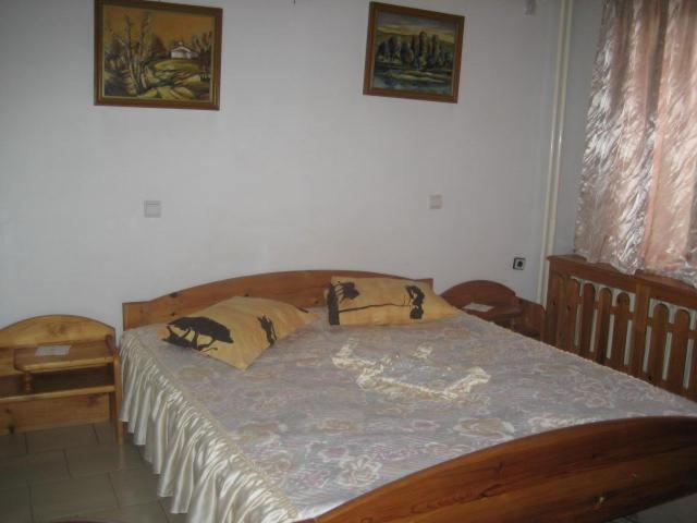 a bedroom with a bed with two pillows on it at Hotel Mishel in Kocherinovo