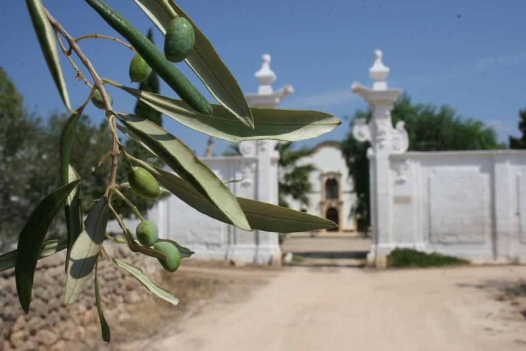 Imagen de la galería de Masseria Maccarone, en Fasano