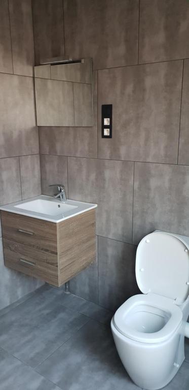 a bathroom with a toilet and a sink at Appartement Studio Tournai in Tournai