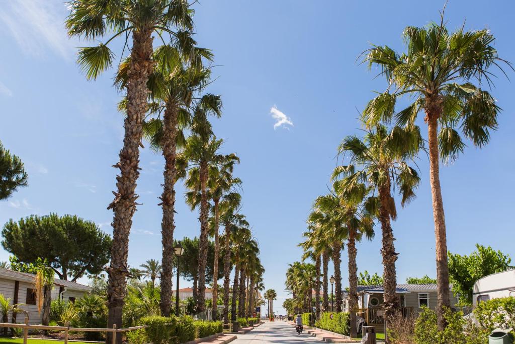 a row of palm trees on a street at Camping Vendrell Platja in Comarruga