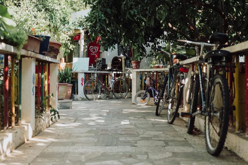 Foto dalla galleria di Milingona City Center Hostel a Tirana