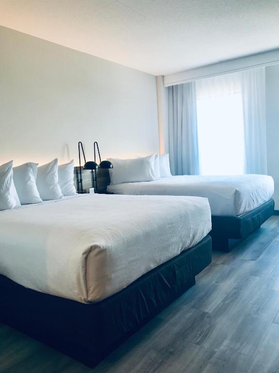 a hotel room with two beds and a window at Wyndham Garden Ft Lauderdale Airport & Cruise Port in Dania Beach