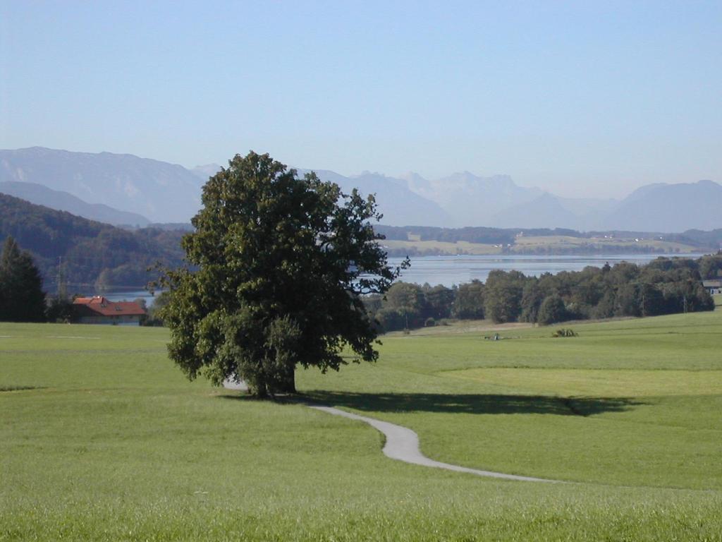 Príroda v okolí hotela