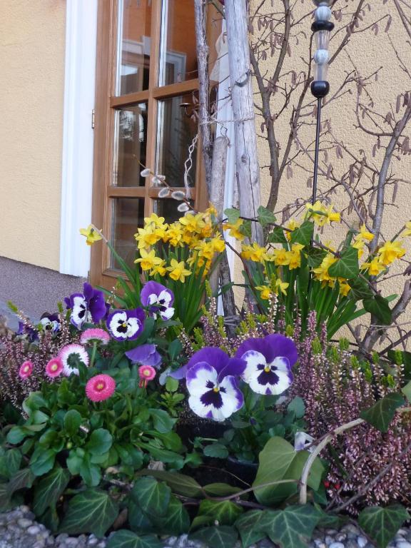 Vonkajšia záhrada v ubytovaní Ferienhotel Herzog