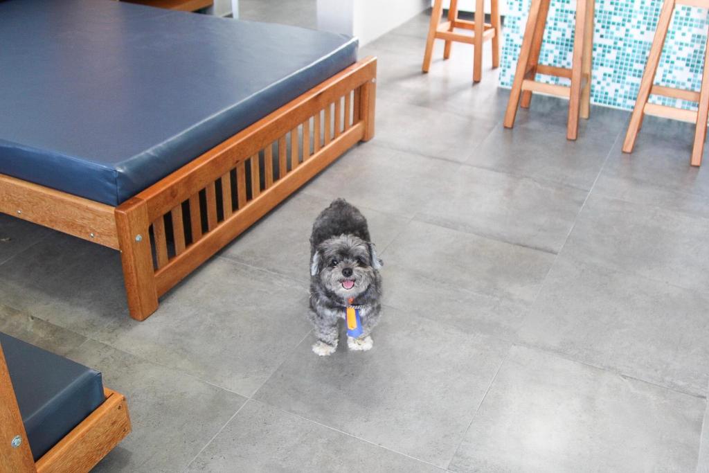  Valparaíso Flats Ubatuba