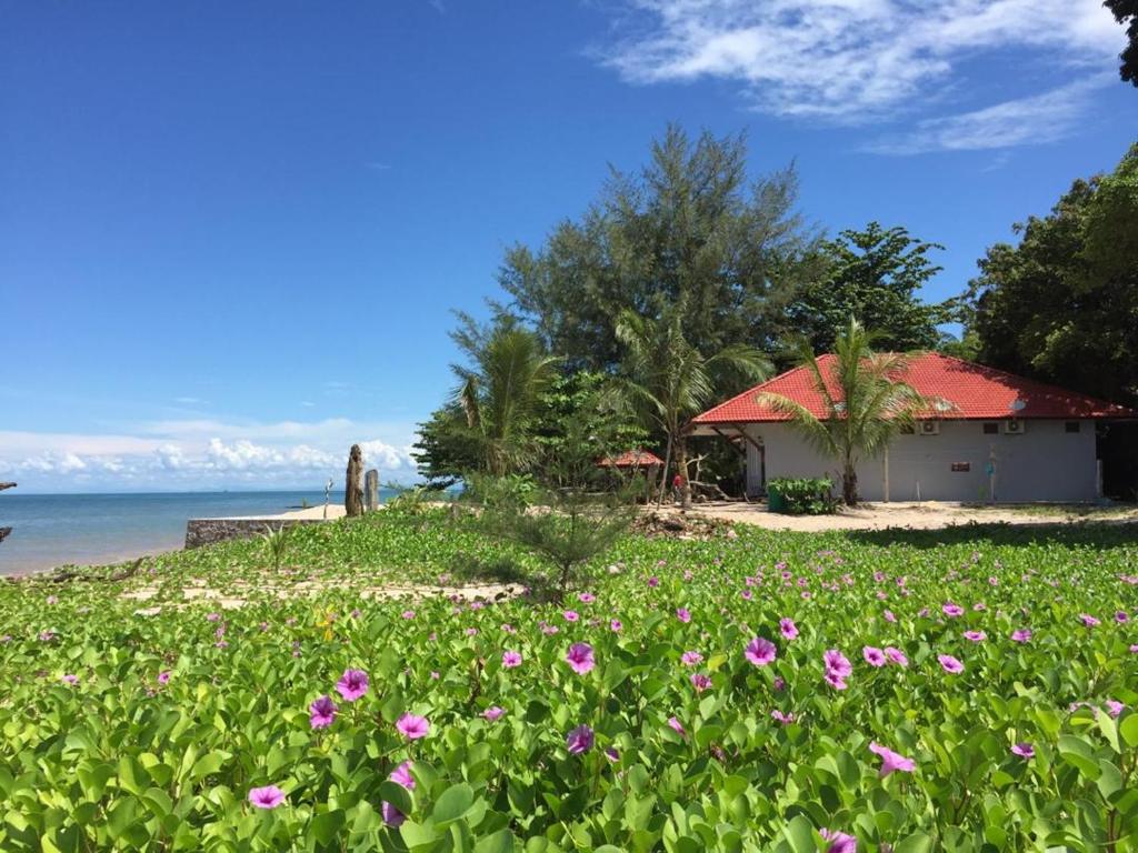 una casa con un campo de flores en la playa en Red Coral Cottage, en Tanjung Rhu