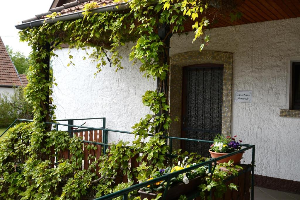 メトラッハにあるFerienwohnung Pascaleの蔦の木が横に生えている家