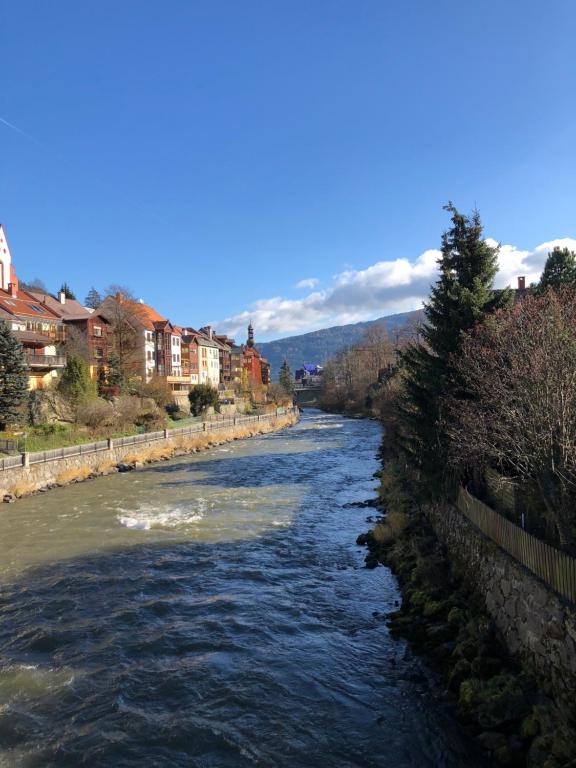 a river with buildings on the side of it at Witrich apartman in Murau