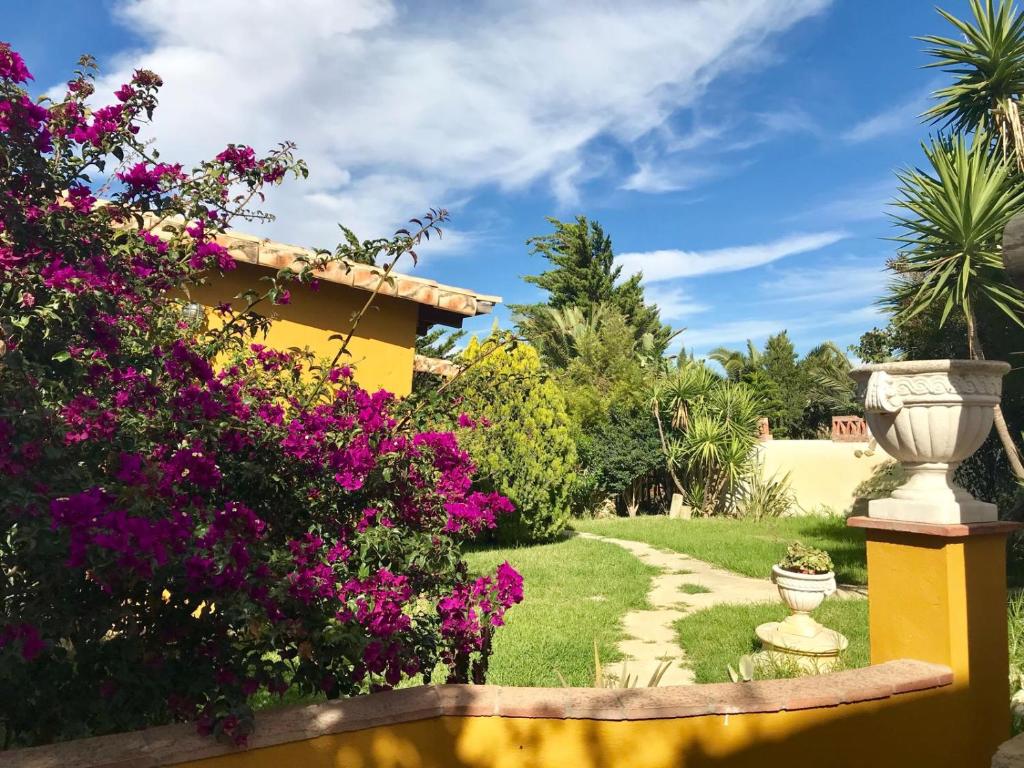 a garden in front of a house with pink flowers at Casa Entre Armonías in Zahara de los Atunes