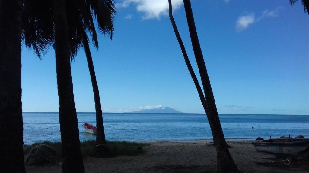 a view of the ocean from a beach with palm trees at Palm View in Laborie