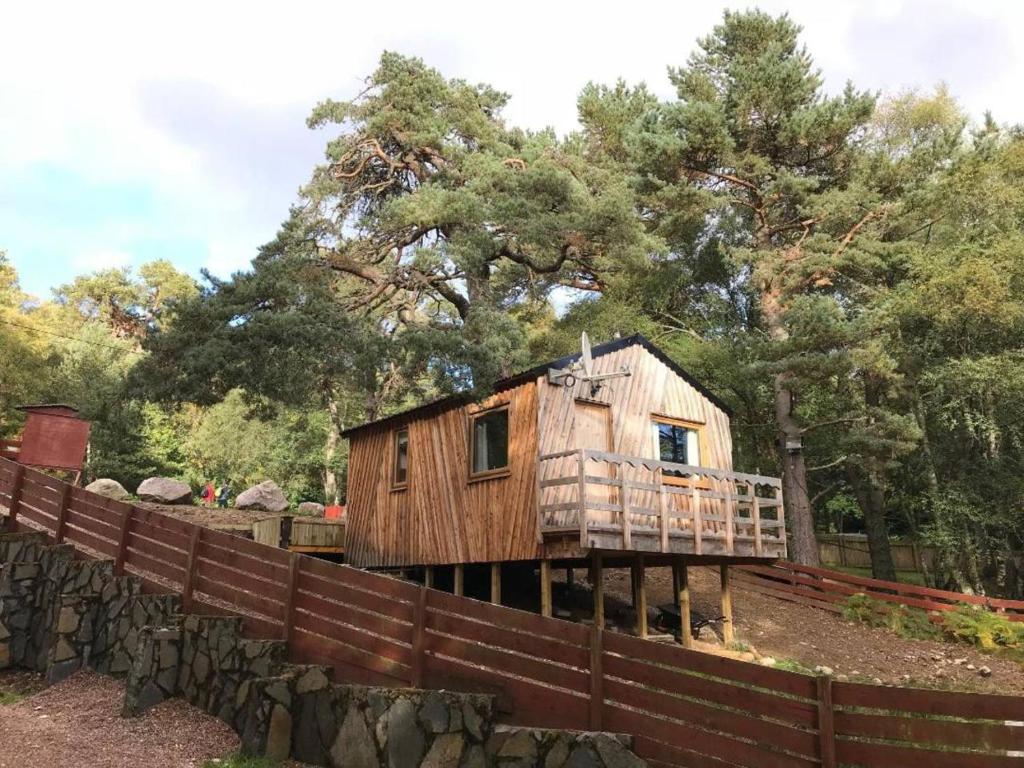 een houten huis aan een hek met bomen op de achtergrond bij Pine Marten Bar Glenmore Treehouse in Aviemore