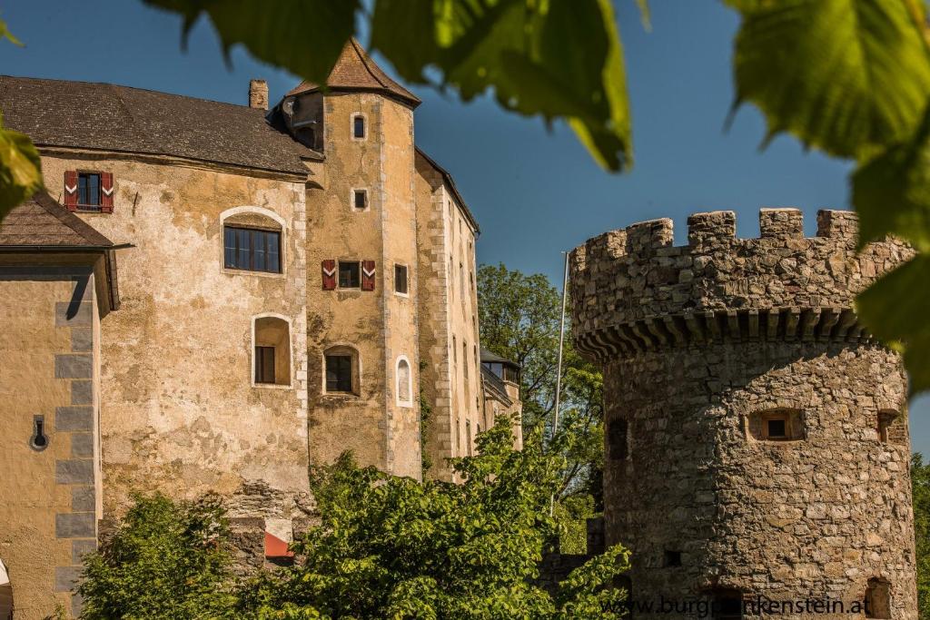 un vieux château avec une tour et une tourelle dans l'établissement Burg Plankenstein, à Texing