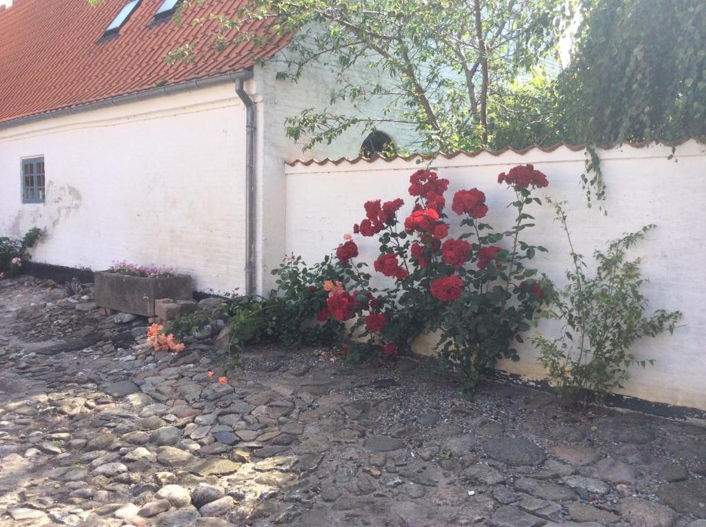 Zahrada ubytování Kjobing Manor